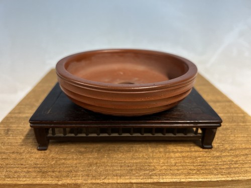 Vaso per bonsai - , tokoname