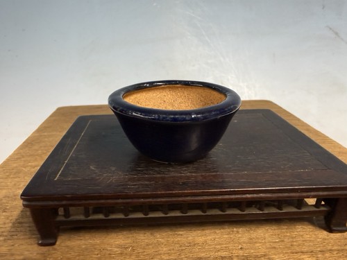 Vaso per bonsai - , tokoname