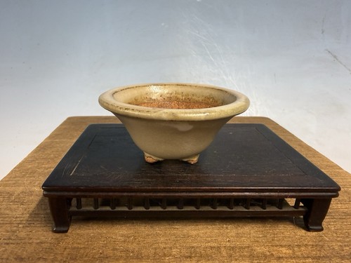 Vaso per bonsai tokoname - vaso,