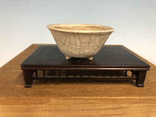 Vaso per bonsai smaltato