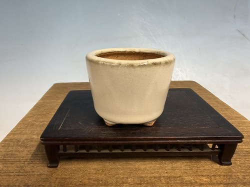 Vaso per bonsai tokoname - vaso,