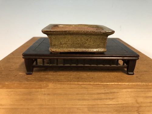 Vaso per bonsai smaltato